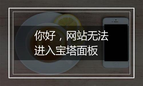你好,网站无法进入宝塔面板