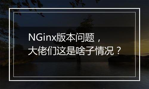 NGinx版本问题,大佬们这是啥子情况?