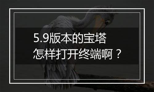 5.9版本的宝塔怎样打开终端啊?