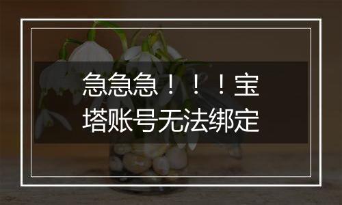 急急急!!!宝塔账号无法绑定