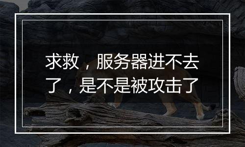 求救,服务器进不去了,是不是被攻击了