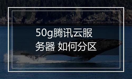 50g腾讯云服务器 如何分区