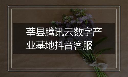 莘县腾讯云数字产业基地抖音客服