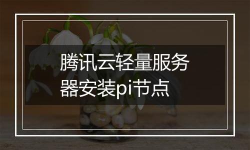 腾讯云轻量服务器安装pi节点
