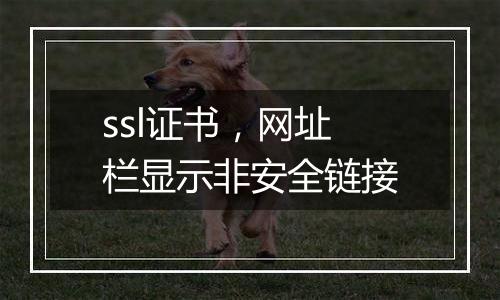 ssl证书,网址栏显示非安全链接
