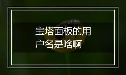 宝塔面板的用户名是啥啊