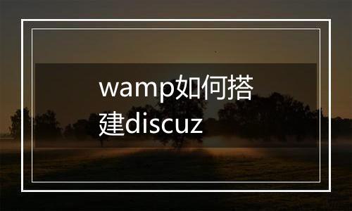 wamp如何搭建discuz