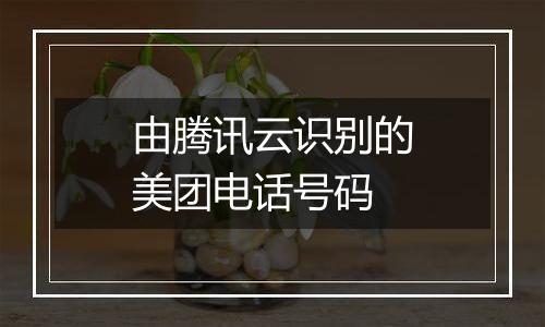 由腾讯云识别的美团电话号码