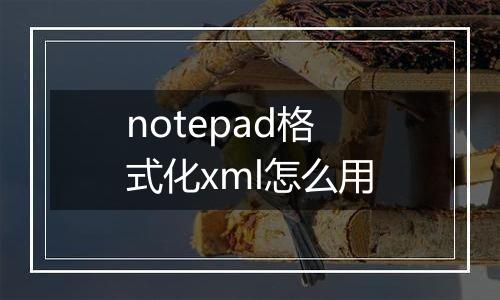 notepad格式化xml怎么用