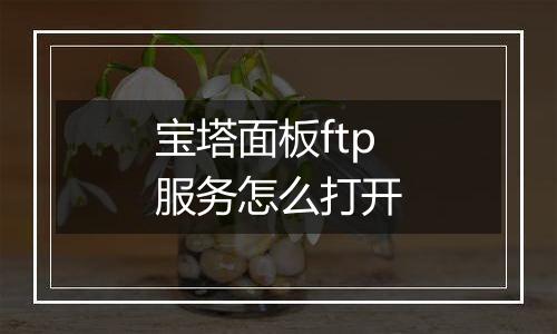 宝塔面板ftp服务怎么打开