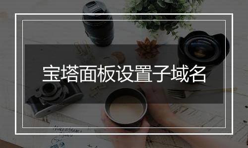宝塔面板设置子域名
