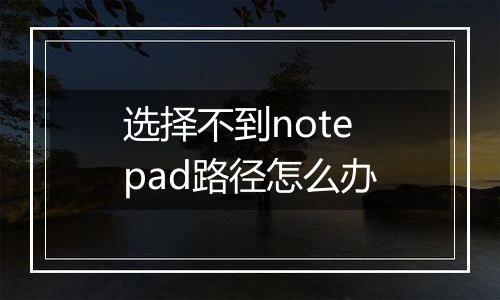 选择不到notepad路径怎么办