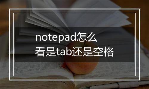 notepad怎么看是tab还是空格