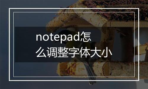 notepad怎么调整字体大小