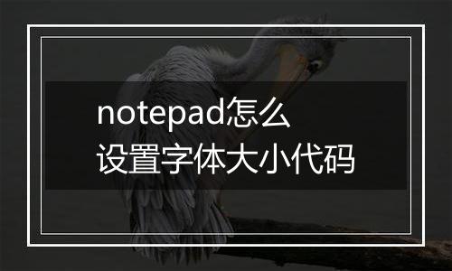 notepad怎么设置字体大小代码