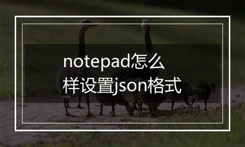 notepad怎么样设置json格式