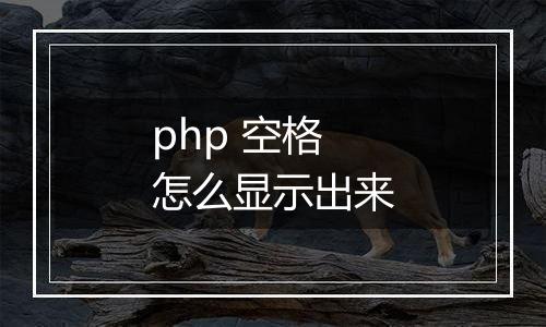 php 空格怎么显示出来