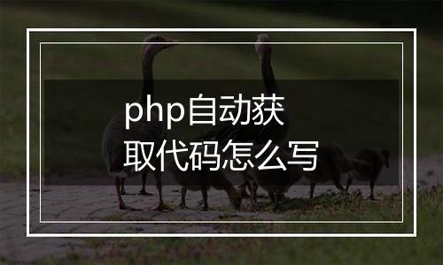 php自动获取代码怎么写