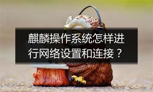 麒麟操作系统怎样进行网络设置和连接？