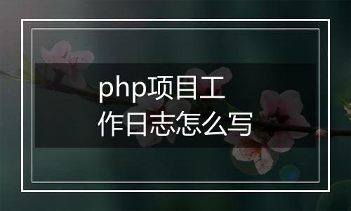 php项目工作日志怎么写