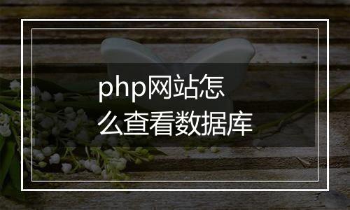php网站怎么查看数据库
