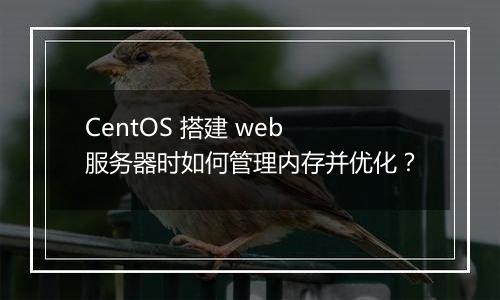 CentOS 搭建 web 服务器时如何管理内存并优化？