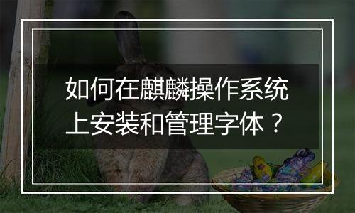 如何在麒麟操作系统上安装和管理字体？