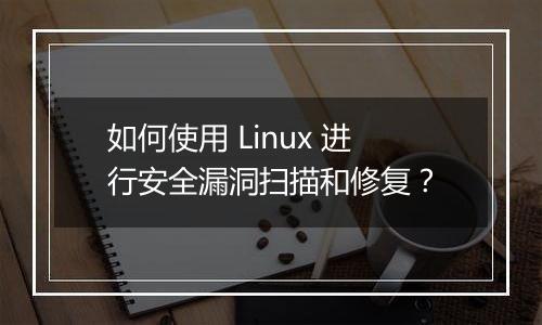 如何使用 Linux 进行安全漏洞扫描和修复？