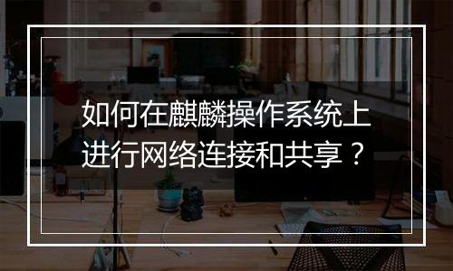如何在麒麟操作系统上进行网络连接和共享?