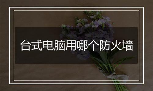 台式电脑用哪个防火墙