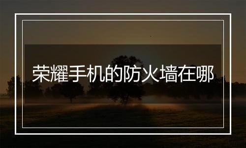 荣耀手机的防火墙在哪