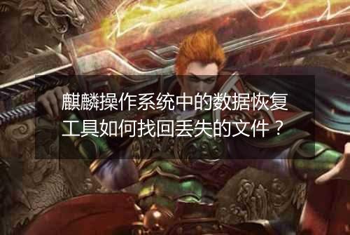 麒麟操作系统中的数据恢复工具如何找回丢失的文件？