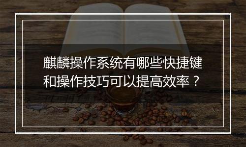 麒麟操作系统有哪些快捷键和操作技巧可以提高效率？