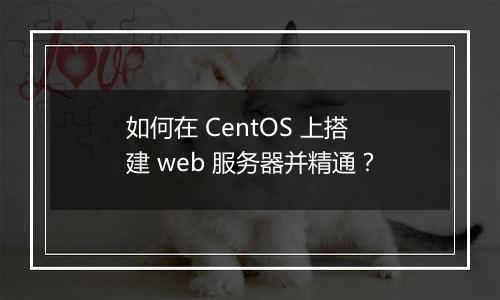 如何在 CentOS 上搭建 web 服务器并精通?