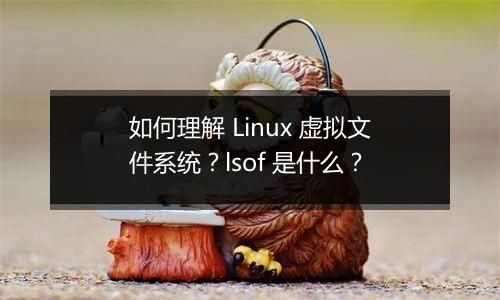 如何理解 Linux 虚拟文件系统?lsof 是什么?