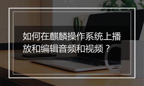 如何在麒麟操作系统上播放和编辑音频和视频？