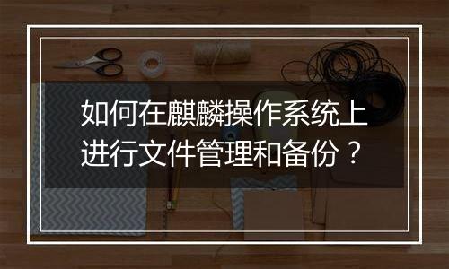 如何在麒麟操作系统上进行文件管理和备份？