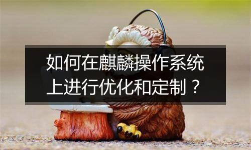 如何在麒麟操作系统上进行优化和定制?