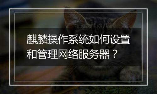 麒麟操作系统如何设置和管理网络服务器?