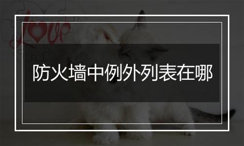 防火墙中例外列表在哪
