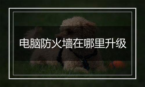 电脑防火墙在哪里升级