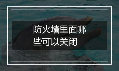 防火墙里面哪些可以关闭