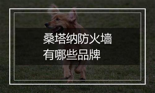 桑塔纳防火墙有哪些品牌