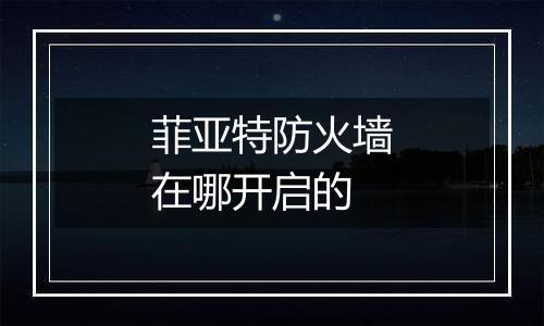 菲亚特防火墙在哪开启的