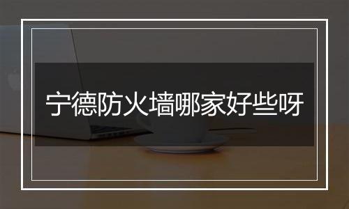 宁德防火墙哪家好些呀