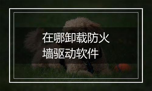 在哪卸载防火墙驱动软件