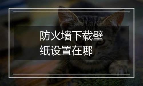 防火墙下载壁纸设置在哪
