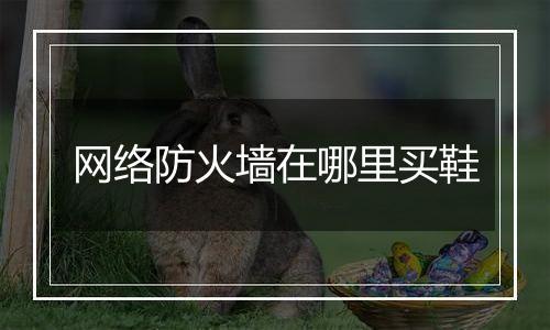 网络防火墙在哪里买鞋