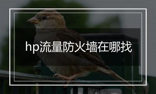 hp流量防火墙在哪找
