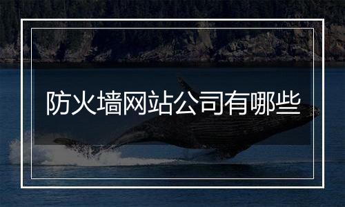 防火墙网站公司有哪些